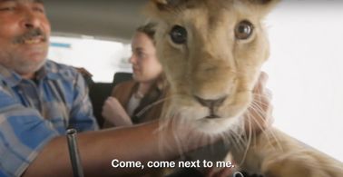 Hailey Gates in States of Undress (2016)