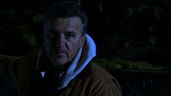 American Backwoods: Slew Hamphire...Rodge...Acort International