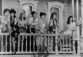 Debra Winger, Mary Margaret Amato, Ellen Blake, Kathleen Doyle, Sharon Ernster, Brenda Hillhouse, Audra Lindley, Colleen