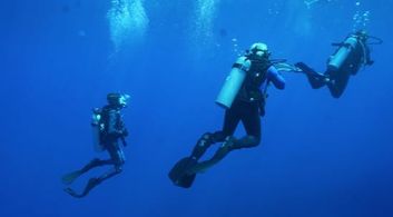 Citizen Pictures - Guy Fieri's Feeding Frenzy: Behind The Scenes