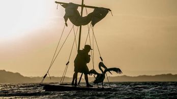 Finn Little in Storm Boy (2019)