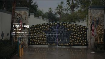 Mike Busey's Home The Sausage Castle On Netflix's Tiger King