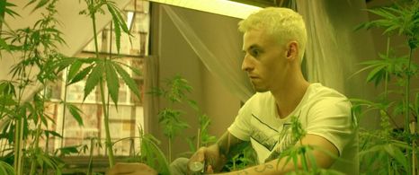 Janek Gregor in Punch and Run (2021)