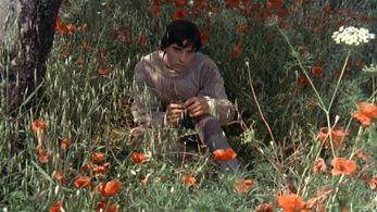 Graham Faulkner in Brother Sun, Sister Moon (1972)