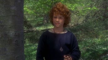 Dan Håfström in Ronia: The Robber's Daughter (1984)