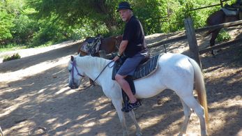 ISABELA Daniel Halleck