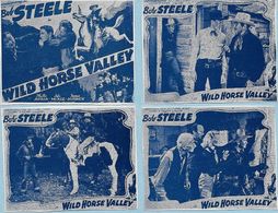Phyllis Adair, Ted Adams, Jimmy Aubrey, George Chesebro, Lafe McKee, Bud Osborne, and Bob Steele in Wild Horse Valley (1