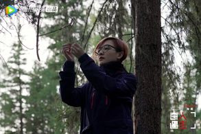 Mavis Fan in Adventure Life (2018)