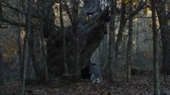 Rita Cabaço in Criança Lobo (2022)