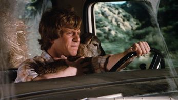 P.R. Paul in The Dukes of Hazzard (1979)