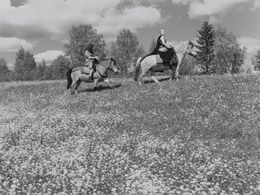 Gunnel Lindblom and Birgitta Pettersson in The Virgin Spring (1960)