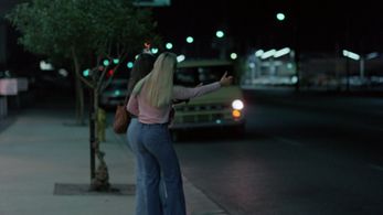 Sandy Alan in Killer's Delight (1978)