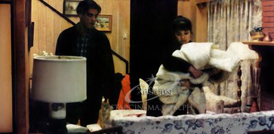 Aga Muhlach and Lea Salonga in Second Chances (1995)