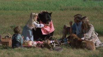 Susan Damante, Hollye Holmes, Ham Larsen, Robert Logan, and Bruno The Bear in The Adventures of the Wilderness Family (1