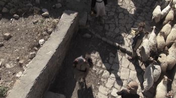 Miles Sloman in David and Goliath (2015)