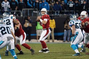 Carson Palmer in All or Nothing: A Season with the Arizona Cardinals (2016)