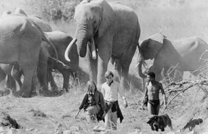 Reese Witherspoon, Sarel Bok, and Ethan Embry in A Far Off Place (1993)