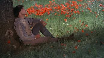 Graham Faulkner in Brother Sun, Sister Moon (1972)