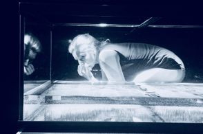 Secret Life of a Mother