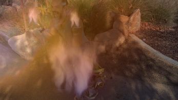 Sidow Sobrino - Frustrated Music Video Still Frame