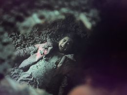 Invasion, Sarah Malik