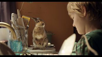 Rohan Timmermans in Het leven volgens Nino (2014)