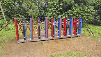 Colby Donaldson, Jerri Manthey, Rupert Boneham, Amanda Kimmel, Candice Cody, Parvati Shallow, and Courtney Yates in Surv