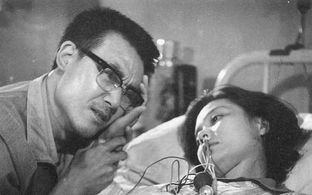 Shichang Da and Hong Pan in At Middle Age (1982)