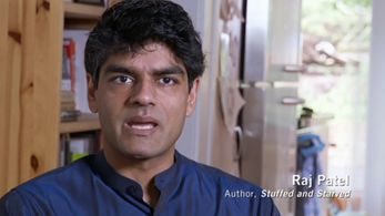 Raj Patel in A Place at the Table (2012)