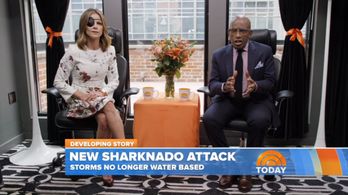Al Roker and Natalie Morales in Sharknado 4: The 4th Awakens (2016)