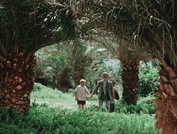 Gennadi Khudyakov, Aleksei Litvinov, and Nikolay Volkov in The Flying Carpet (1957)