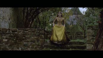 Mia Wasikowska - Madame Bovary