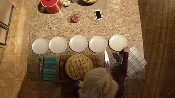 Ellen Barkin in Animal Kingdom (2016)