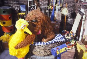 Martin P. Robinson, Caroll Spinney, and Big Bird in Follow That Bird (1985)