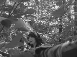 Still from “It Came From Somewhere” (2022)