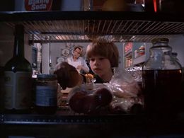 Beverly Garland and Paul Stout in Scarecrow and Mrs. King (1983)