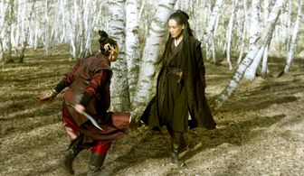 Shu Qi in The Assassin (2015)