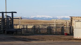 #great morning#john scott's ranch #toyota commercial