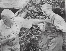 James J. Jeffries and James Seay in Mr. Celebrity (1941)