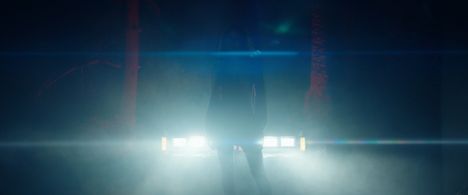 Kate Amundsen in Almond Wood (2020)