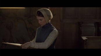 Mia Wasikowska - Madame Bovary