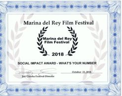 Marina Del Rey Film Festival, social impact award.
