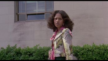 Annazette Chase in Truck Turner (1974)