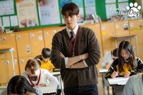 Cha Eun-Woo in A Good Day to be a Dog (2023)