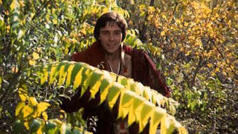 Graham Faulkner in Brother Sun, Sister Moon (1972)