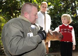 Robert Clarence Irwin in Free Willy: Escape from Pirate's Cove (2010)