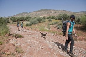 ABC's Expedition Impossible