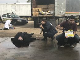 Elena Ghenoiu - Rusty Tulloch