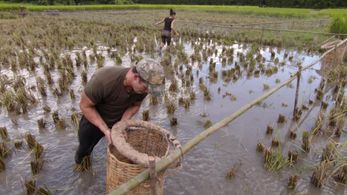 Cody Nickson and Jessica Graf in The Amazing Race (2001)