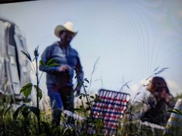 Storm of Suspicion role ; camping scene